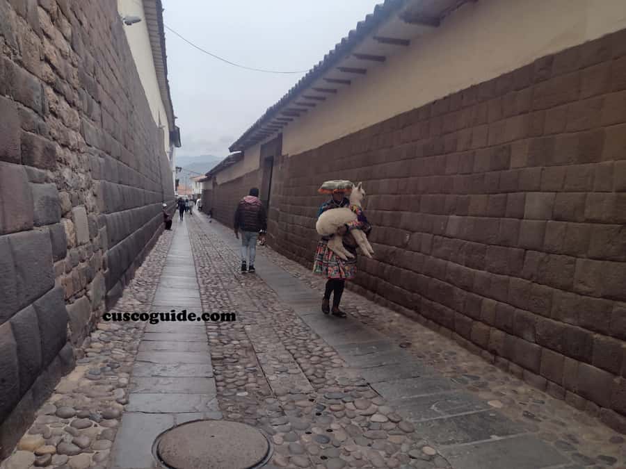 Cusco Walking Tour: Downtown, Sun Temple & San Blas Views - Why This Walk Works as a First Introduction to Cusco