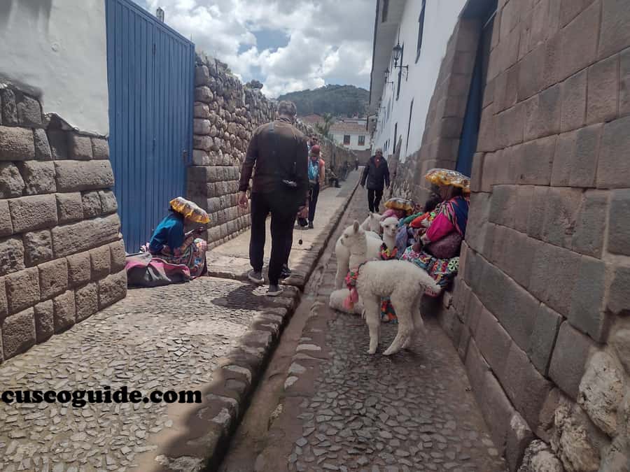 Cusco Walking Tour: Downtown, Sun Temple & San Blas Views - San Blas, Seven Lambs Street, and the Artistic Side of Cusco