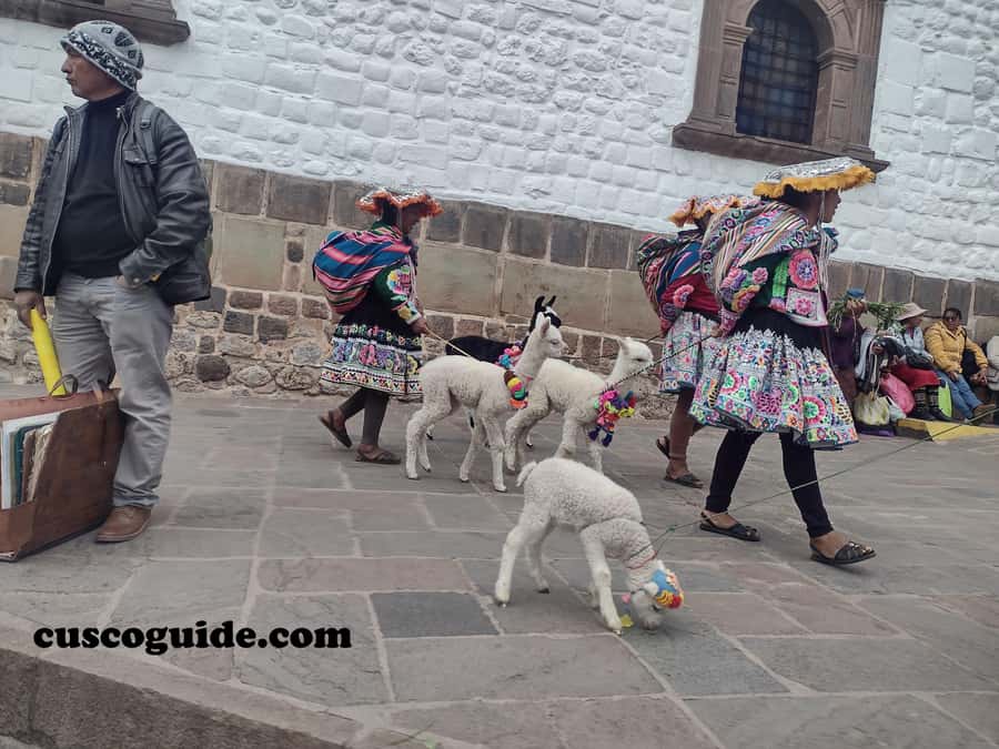 Cusco Walking Tour: Downtown, Sun Temple & San Blas Views - What the Tip-Based Price Really Means