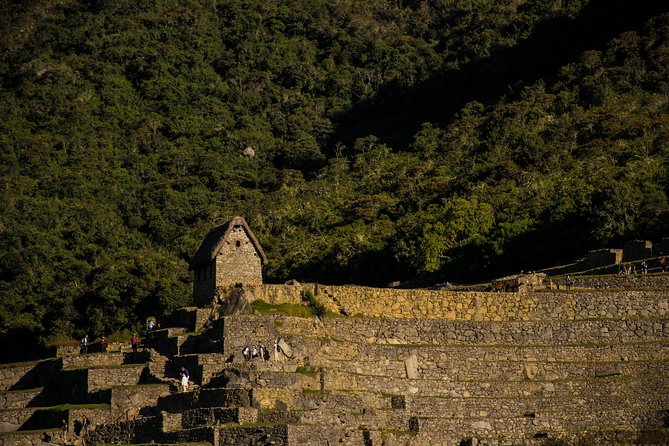 Day Trip to Machu Picchu by Train from Cusco - The bus ride up to Machu Picchu