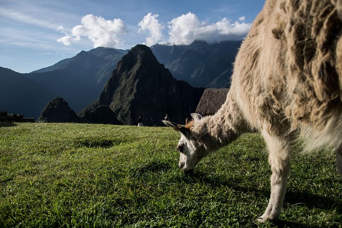 Day Trip to Machu Picchu by Train from Cusco - Rain, cold, and the right clothing