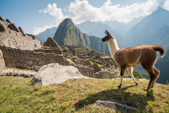 Day Trip Tour to Machu Picchu from Cusco - What went wrong for some bookings