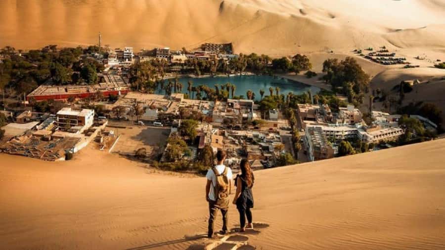 Discover Paracas, Ica and Nasca in a 2 days and 1 night trip - Ballestas Islands: Peru’s small-scale sea safari