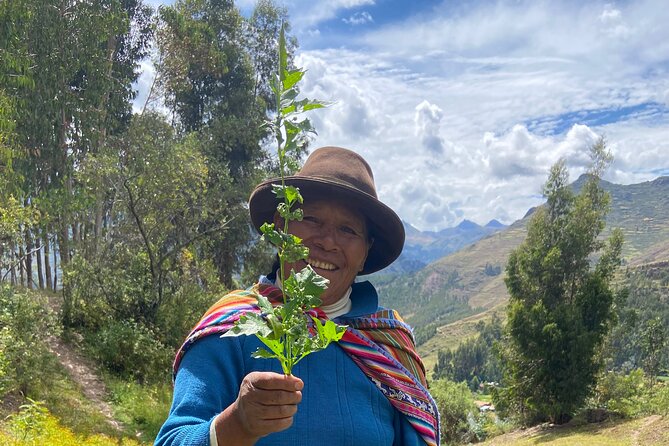Discover the secrets of Andean nature in Pisac - Learning how Andean plants are used