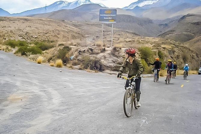 Downhill Tour - Mountain Bike in Arequipa - High-Andean views and possible wildlife