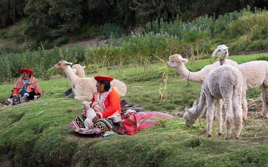 ECONOMIC PRIVATE TOUR IN THE CITY OF CUSCO - HALF DAY - Qenqo and its mysterious altars