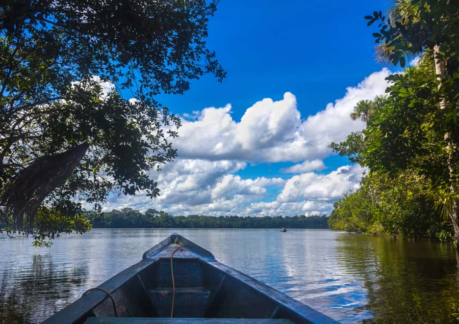 Excursion 3 days/2 nights in the jungle - The long route to Lake Sandoval