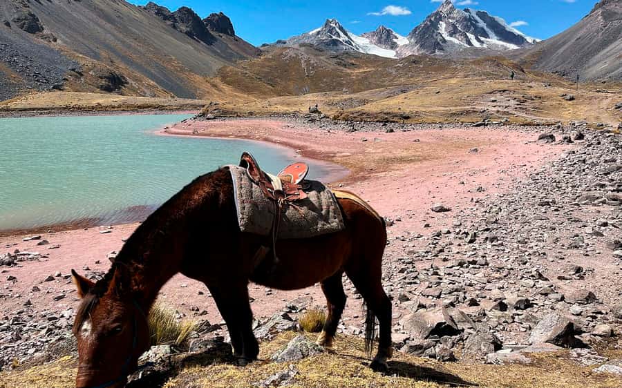 Excursion: Explore in one day the 7 lakes of Ausangate from Cusco - Breakfast in Pacchanta before the climb