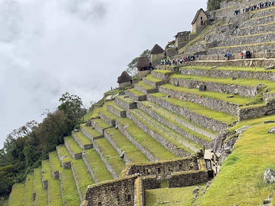 Excursion from Cusco to Machu Picchu + Entrance Tickets Incl - The guided tour and your limited free time