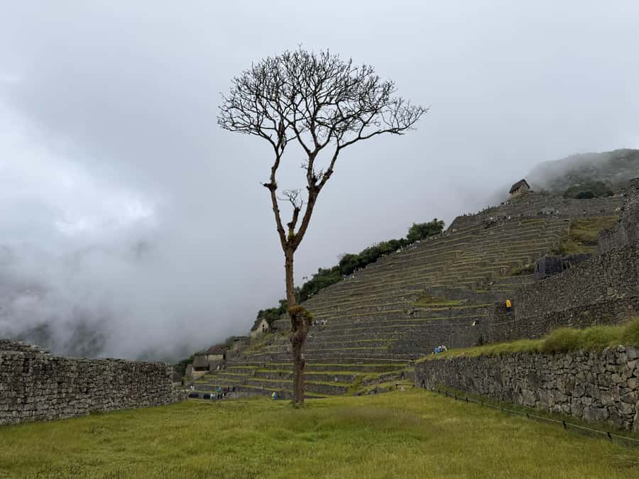 Excursion from Cusco to Machu Picchu + Entrance Tickets Incl - The return to Aguas Calientes and the long wait
