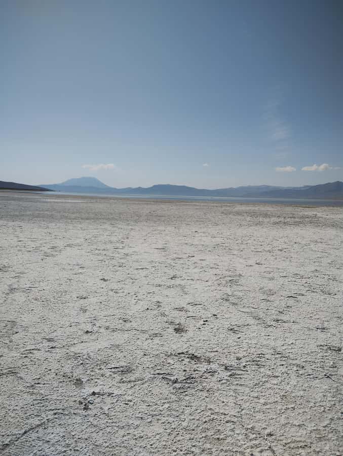 Excursion: Lagoon and National Reserve of Salinas and Aguada Blanca in Arequipa. - Five things to know before you go