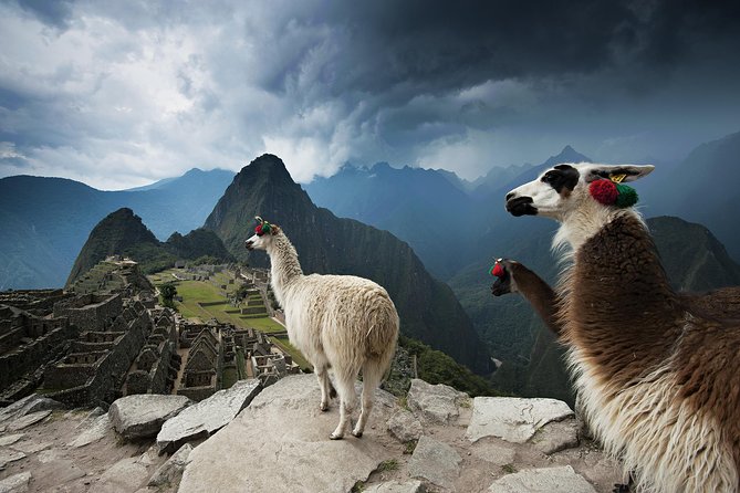 Excursion to MachuPicchu from Cusco with lunch | Private Service| - The Ollantaytambo to Aguas Calientes train
