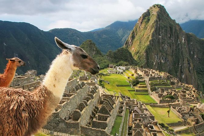 Excursion to MachuPicchu with Train Vistadome Full Day - Is $403.75 a fair price?