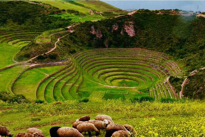 Excursion to Moray & Maras - Salt Mines || Group tour || - Key points before you book