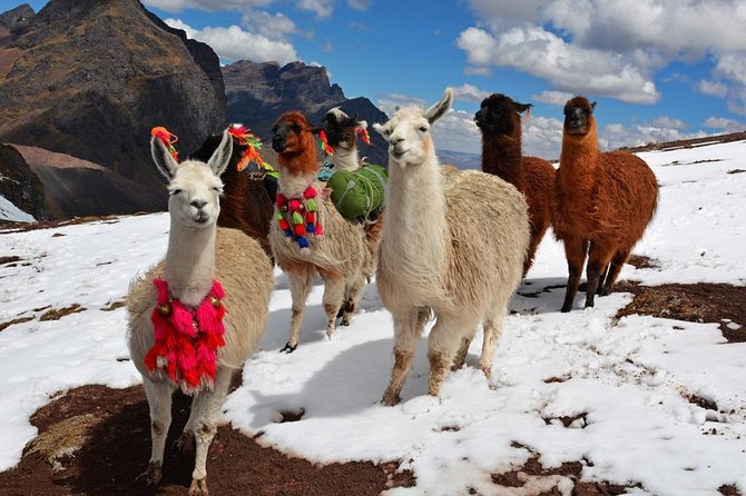 Excursion to Rainbow Mountain Full Day Optional Red Valley - The 4:30 AM departure from Cusco