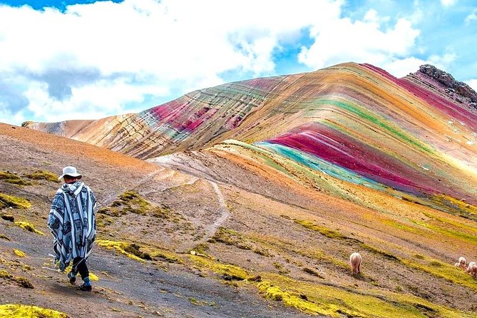 Excursion to Rainbow Mountain Palcoyo from Cusco - Who should book this Palcoyo trip?