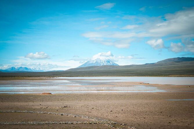 Explore Puruña Stone Forest & Pillones Waterfalls – Full-Day Tour - Patahuasi tea and the altitude question