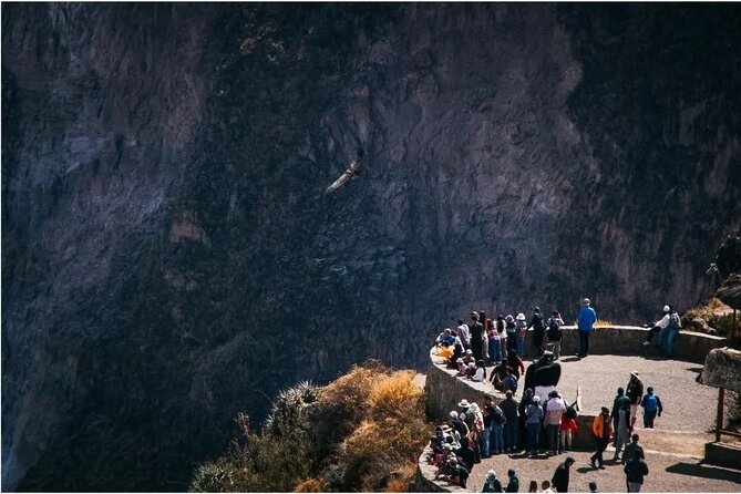 Explore the Colca Canyon From Arequipa 2 Days and 1 Night - Five details that shape the experience