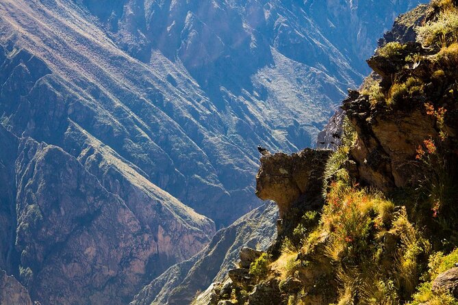 Explore the Colca Canyon From Arequipa 2 Days and 1 Night - Why this two-day trip works from Arequipa