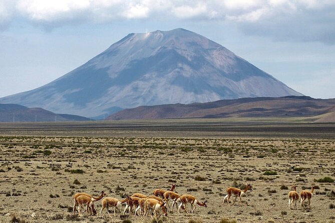 Explore the Colca Canyon From Arequipa 2 Days and 1 Night - Chivay after dark