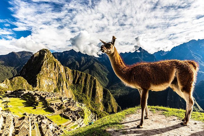Family-Friendly Machu Picchu Tour from Cusco 08:30 am departure - What the private format feels like