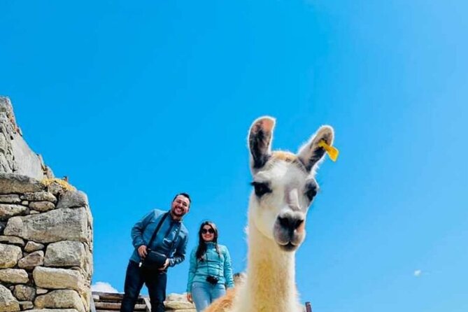 FD Machu Picchu: Tour & Machu Picchu Mountain from Cusco - Returning by bus, train, and road