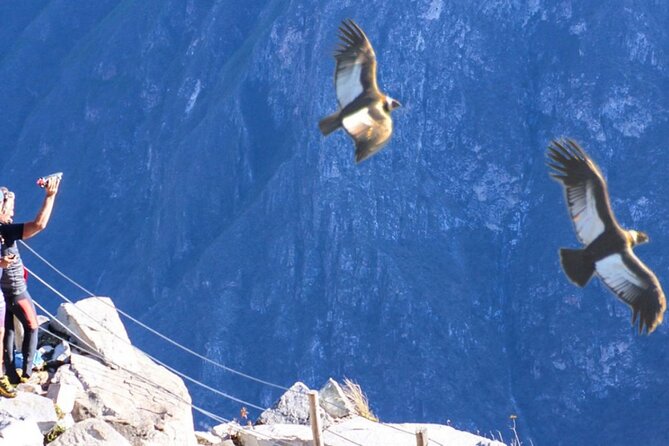 Flight of the condor - Killarumiyoc and the Inca idea of fertility