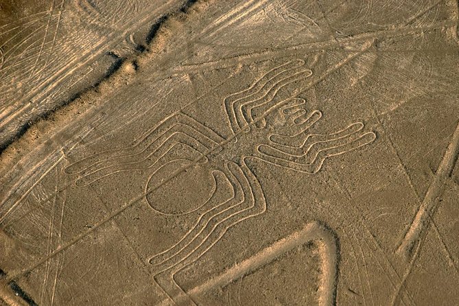 Flight over the Nazca Lines from Nazca (35 min) - What you see during the 17-figure circuit