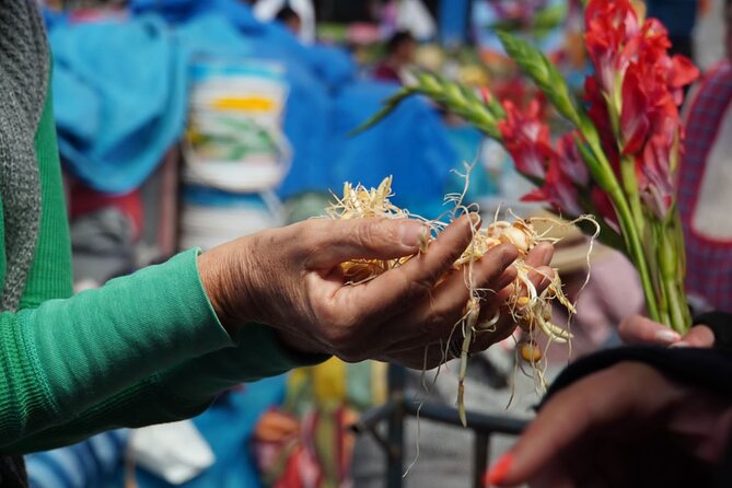 Food and Culture Full day Tour in the Sacred Valley - Key things to know before booking