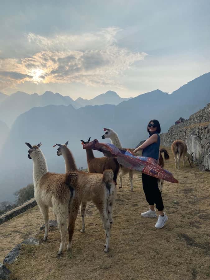 From Aguas Calientes: Machu Picchu guided tour with tickets - What the $155 price covers