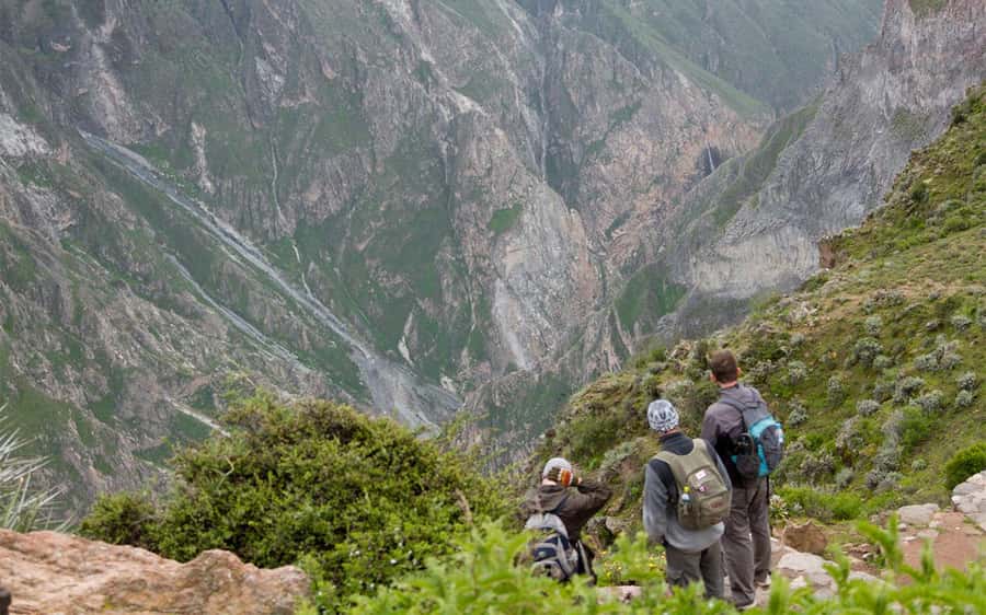From Arequipa: 2-Day Colca Canyon Trekking Tour - A 3 a.m. start from Arequipa