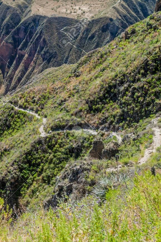From Arequipa: 2-Day Colca Canyon Trekking Tour - Sangalle Oasis after sunset