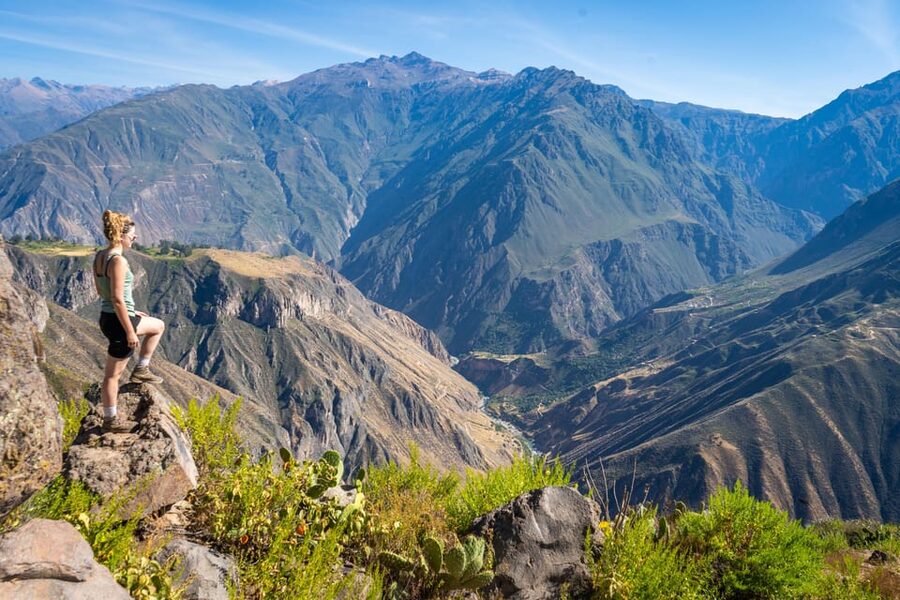 From Arequipa: 2-Day Colca Canyon Trekking Tour - Guides are a major part of the value