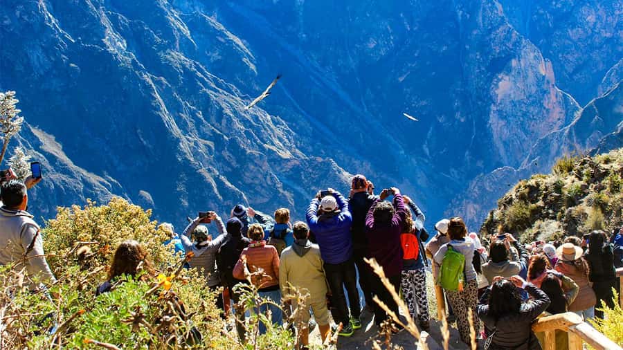 From Arequipa: Colca Canyon Day Trip with Transfer to Puno - Why this Colca Canyon route works