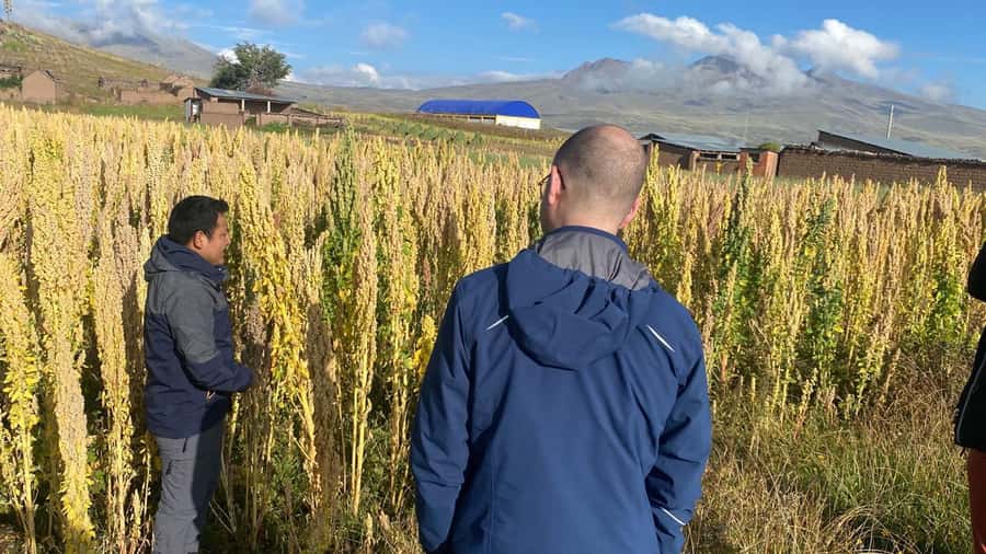 From Arequipa: Colca Canyon Day Trip with Transfer to Puno - Colca River, Maca, and local food