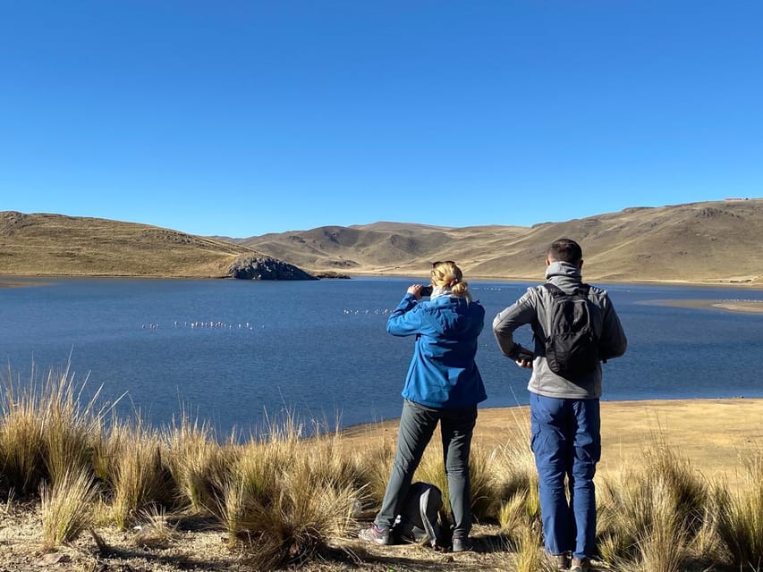 From Arequipa: Colca Canyon Day Trip with Transfer to Puno - Chacapi hot springs: a useful one-hour break