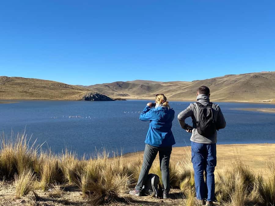 From Arequipa: Colca Canyon Day Trip with Transfer to Puno - Lunch in Chivay and the road to Puno