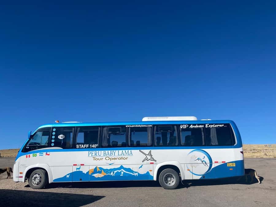From Arequipa: Colca Canyon Day Trip with Transfer to Puno - Alto Lagunillas and the final mountain ride