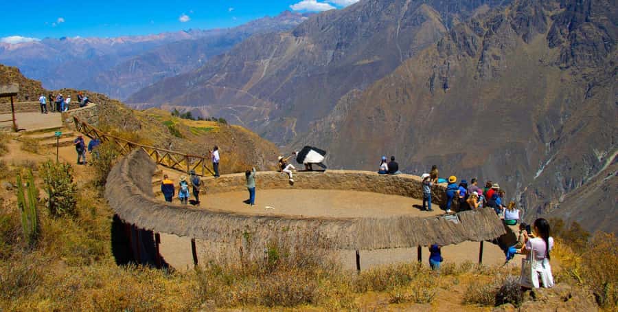 From Arequipa: Colca Canyon Full-Day Tour with Breakfast - Cruz del Condor and the chance to see Peru’s great bird