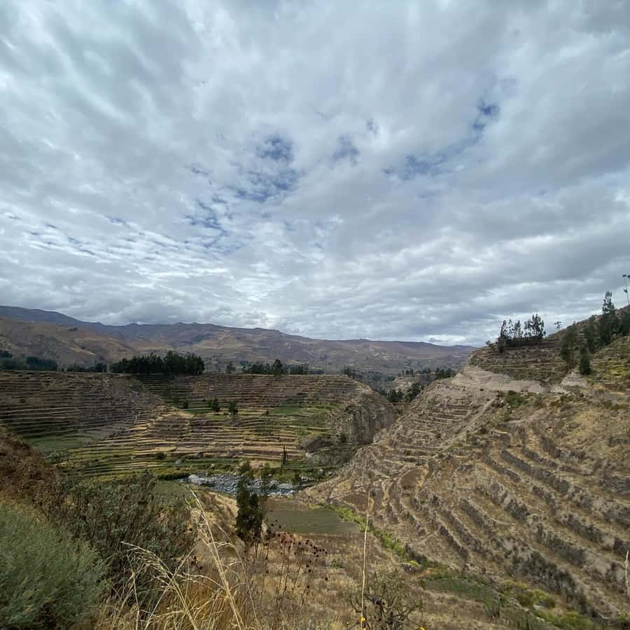 From Arequipa: Colca Canyon & La Calera Thermal Waters - What the $66 price really covers