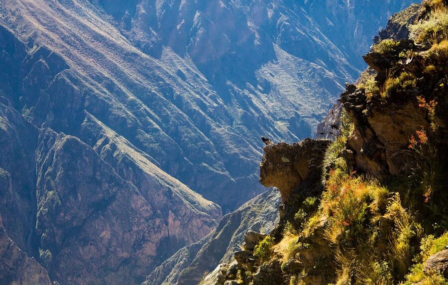 From Arequipa: Colca Valley & Thermal Baths Small-Group Trip - Lunch in Chivay and the long ride home