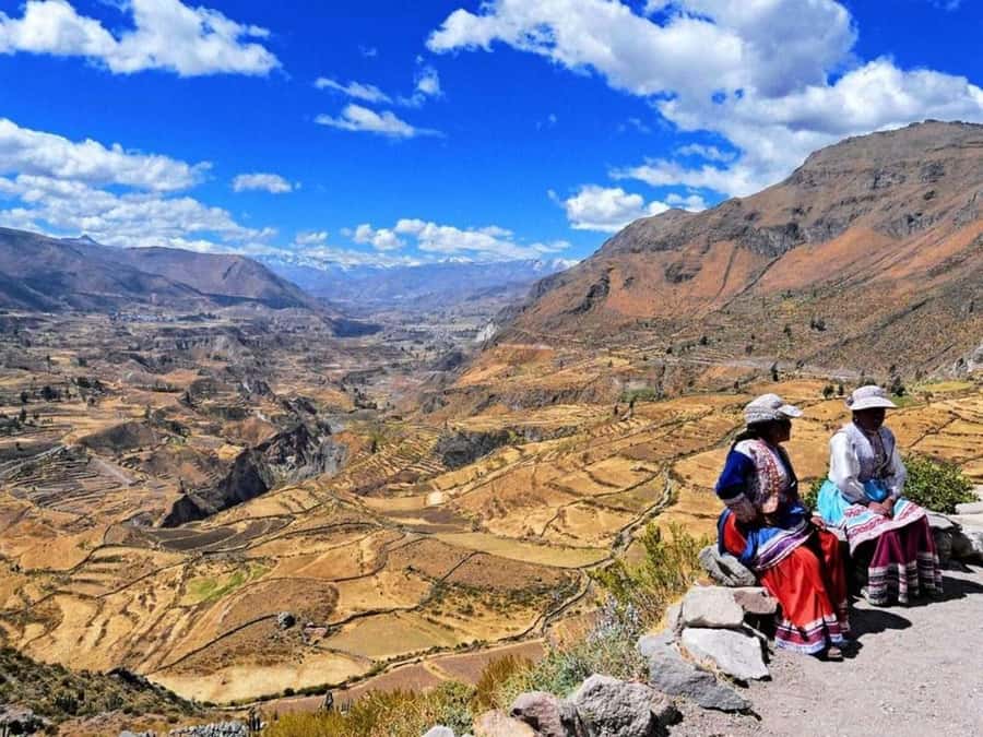 From Arequipa: Full Day Tour of Colca Canyon with Meals - Tocrapampa and Pampa Cañahuas wildlife
