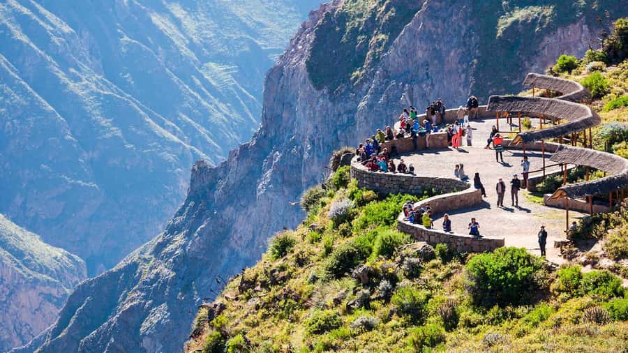 From Arequipa: Fullday Tour Colca Canyon + Transfer To Puno - The 2:30 a.m. Start from Arequipa