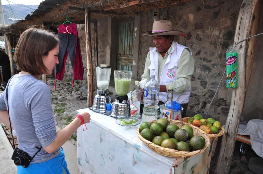 From Arequipa: One Day Trip to Colca Canyon Ending in Puno - The 2:30 a.m. start and the road through Yura