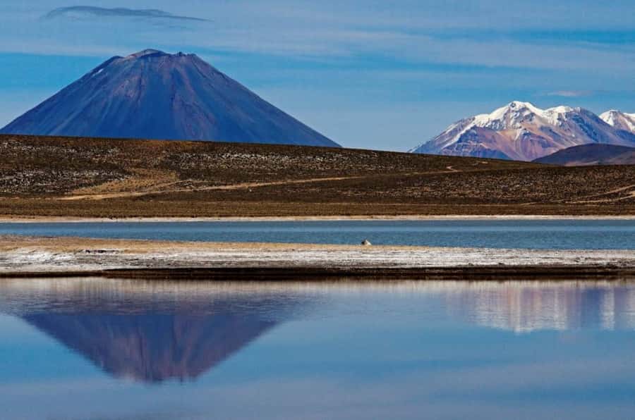 From Arequipa: Salinas Lagoon Full-Day Trip with Hot Springs - Salinas Lagoon and the Salinas and Aguada Blanca Reserve