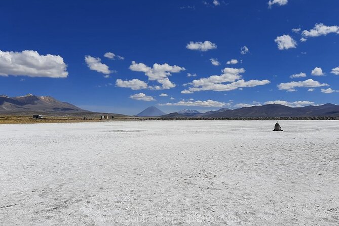 From Arequipa: Salinas Lagoon Half Day Tour - A short stop in traditional Chiguata