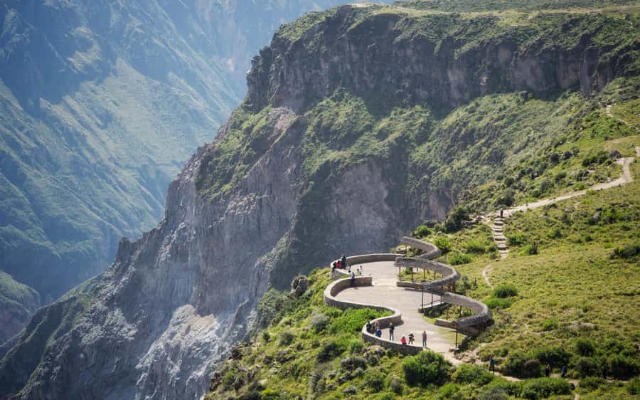 FROM CABANACONDE: VISIT TO THE CRUZ DEL CONDOR VIEWPOINT, DURATION 2 HOURS - Why this two-hour morning trip works
