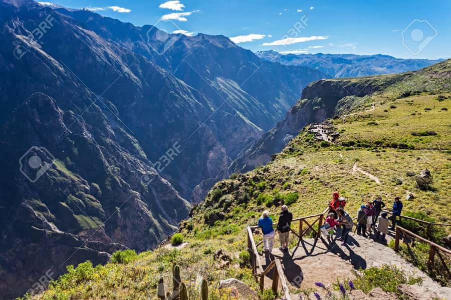 FROM CABANACONDE: VISIT TO THE CRUZ DEL CONDOR VIEWPOINT, DURATION 2 HOURS - What to bring for the morning
