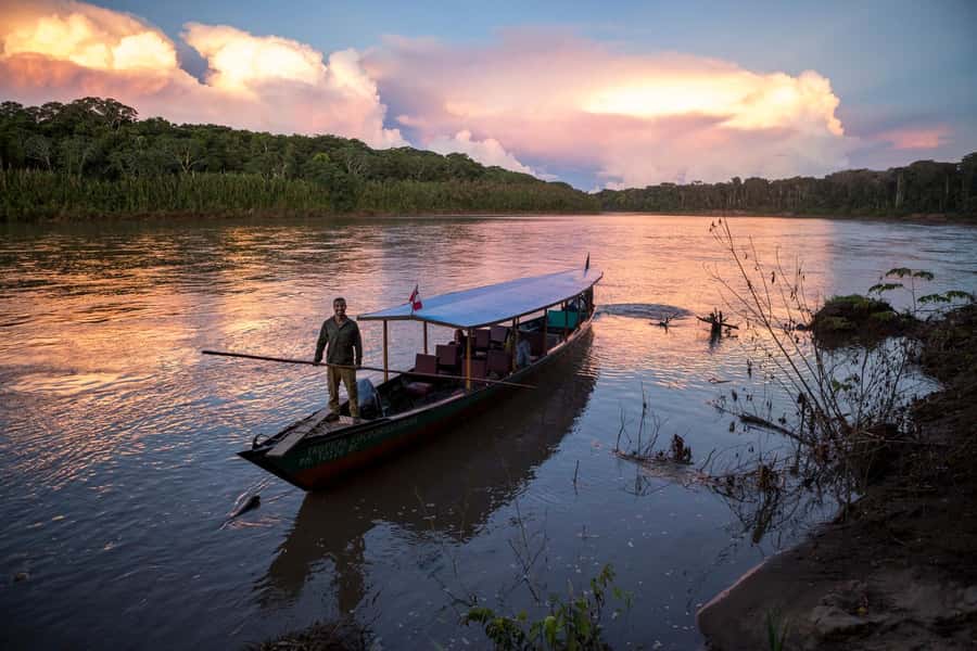 From Cusco: 4-Day Manu National Park Guided Tour - Macaw clay lick and a morning in the forest