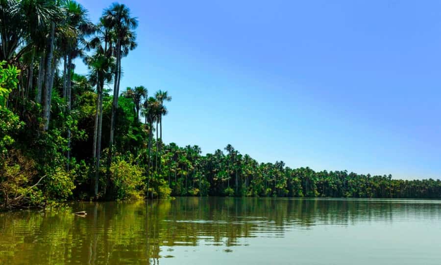 From Cusco: 4 Day Puerto Maldonado Sandoval Lake Excursion - Pack for heat, rain, mud, and insects